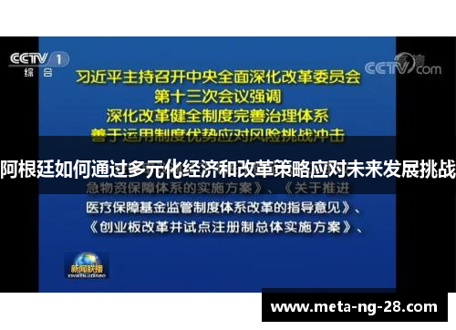 阿根廷如何通过多元化经济和改革策略应对未来发展挑战