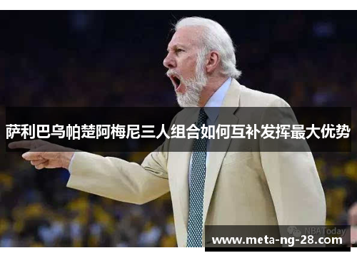 萨利巴乌帕楚阿梅尼三人组合如何互补发挥最大优势