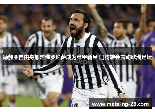 德赫亚自由身加盟佛罗伦萨成为意甲新星 门将转会震动欧洲足坛 德赫亚自由身加盟佛罗伦萨成为意甲新星 门将转会震动欧洲足坛