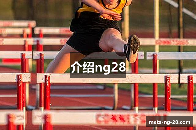 介绍ng28